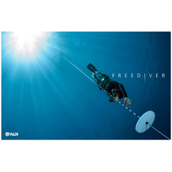 Padi Advanced Freediver